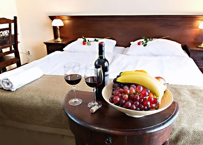 酒店 卡门酒店 3*